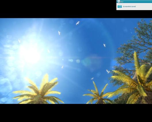 Assassin’s Creed® IV Black Flag™2013-12-11-19-49-51