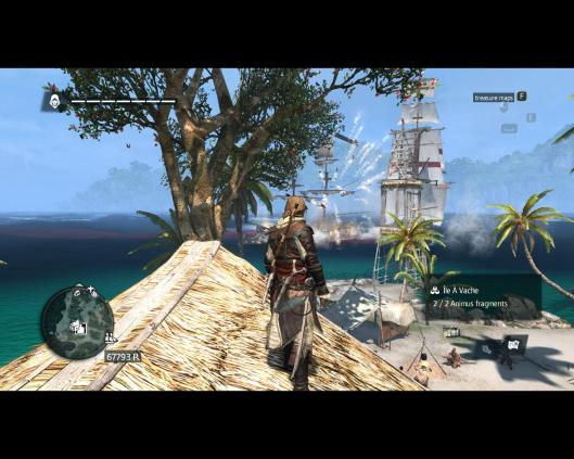 Assassin’s Creed® IV Black Flag™2013-12-11-21-7-4